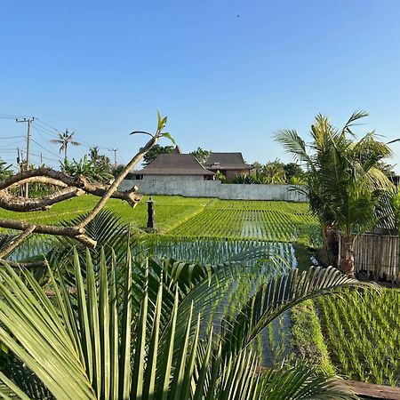 Unit Space Village Canggu  Bagian luar foto