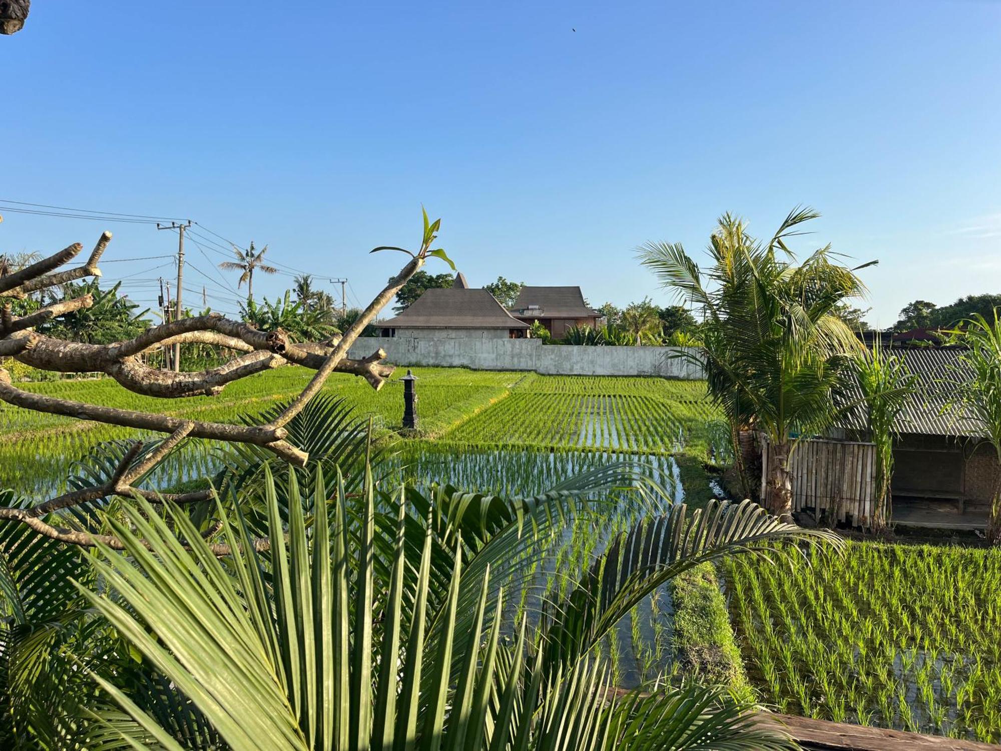 Unit Space Village Canggu  Bagian luar foto